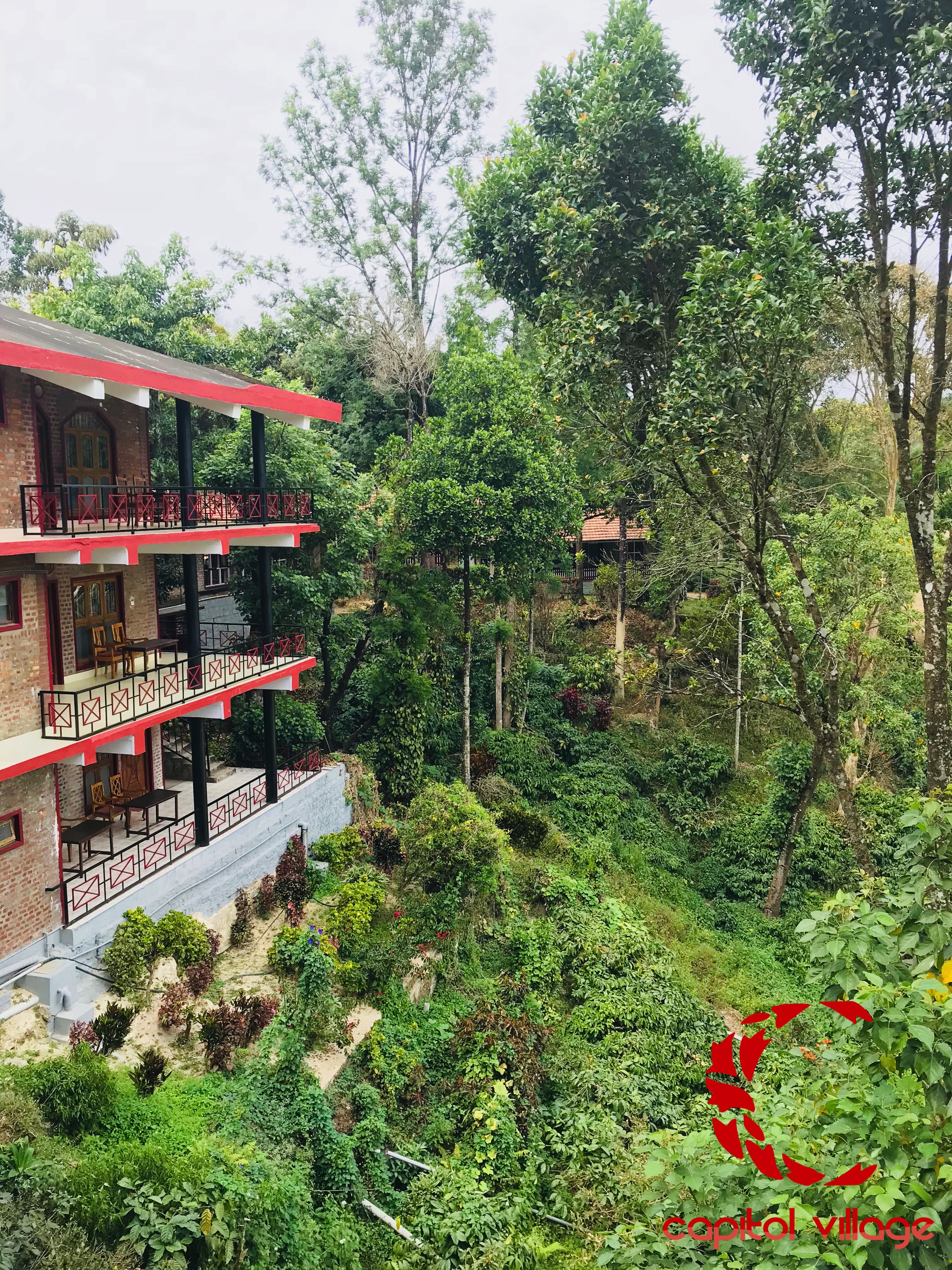 Capitol Village Resort, Coorg 4