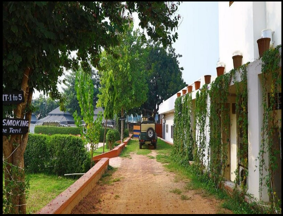 The Bagh Garh, Sawai Madhopur 5