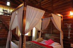 Forest Flower Homestay, Coorg 2