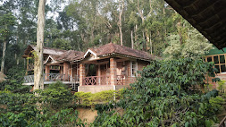 Forest Flower Homestay, Coorg 5