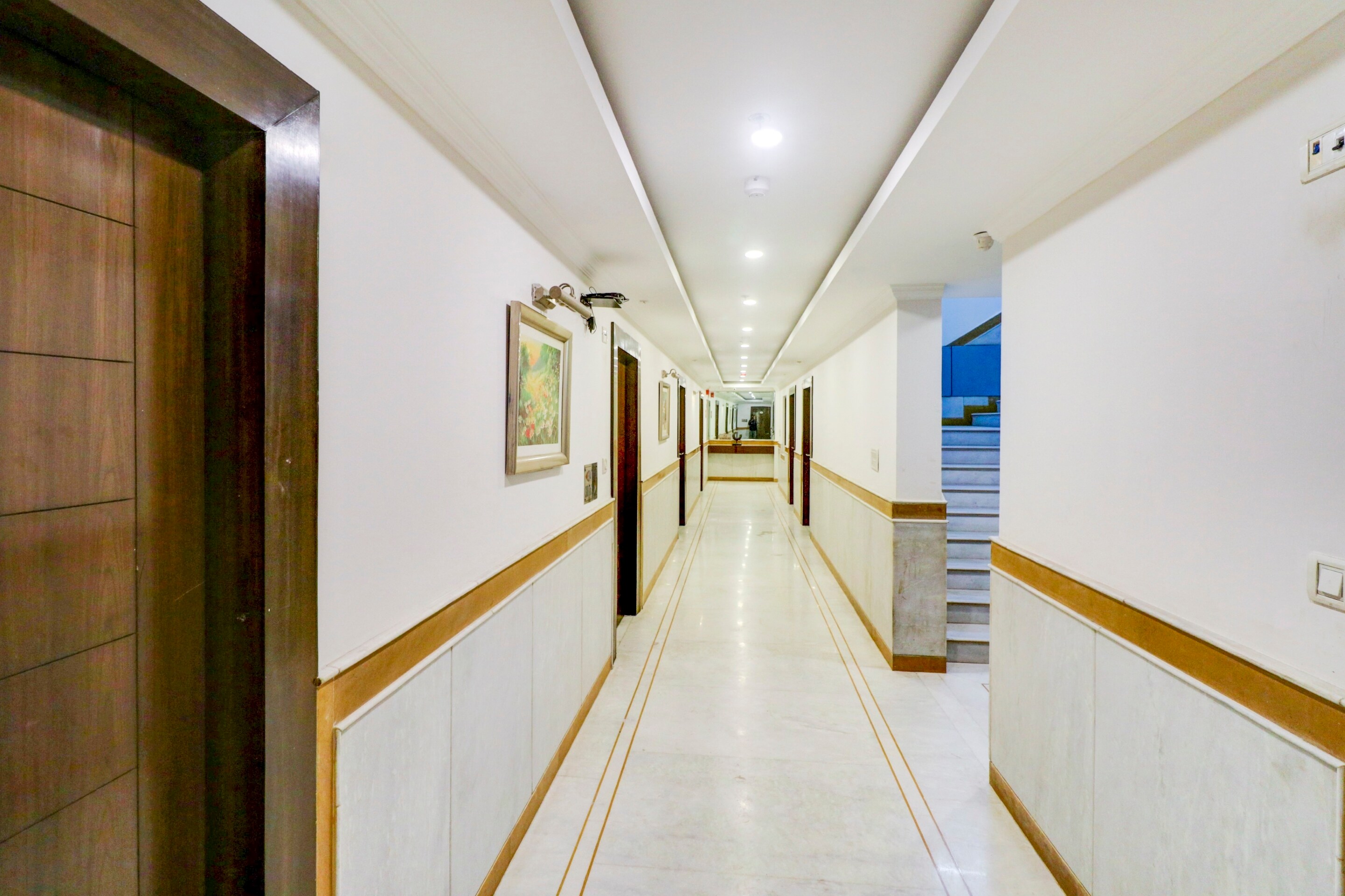 OYO Townhouse 517 La Sapphire, New Delhi 3