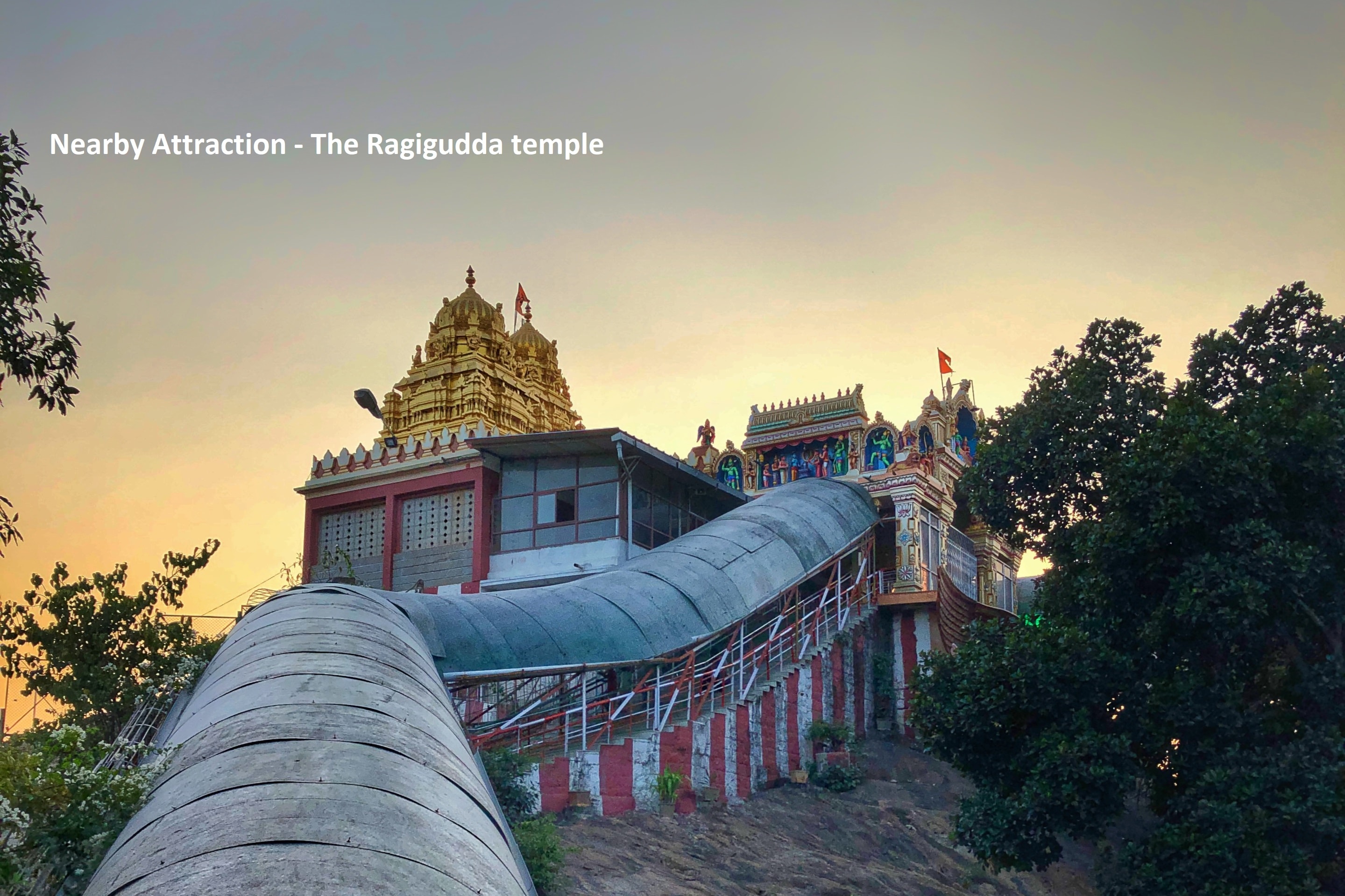 OYO Flagship 14397 Varcity Phi Pavilion, Bangalore 5
