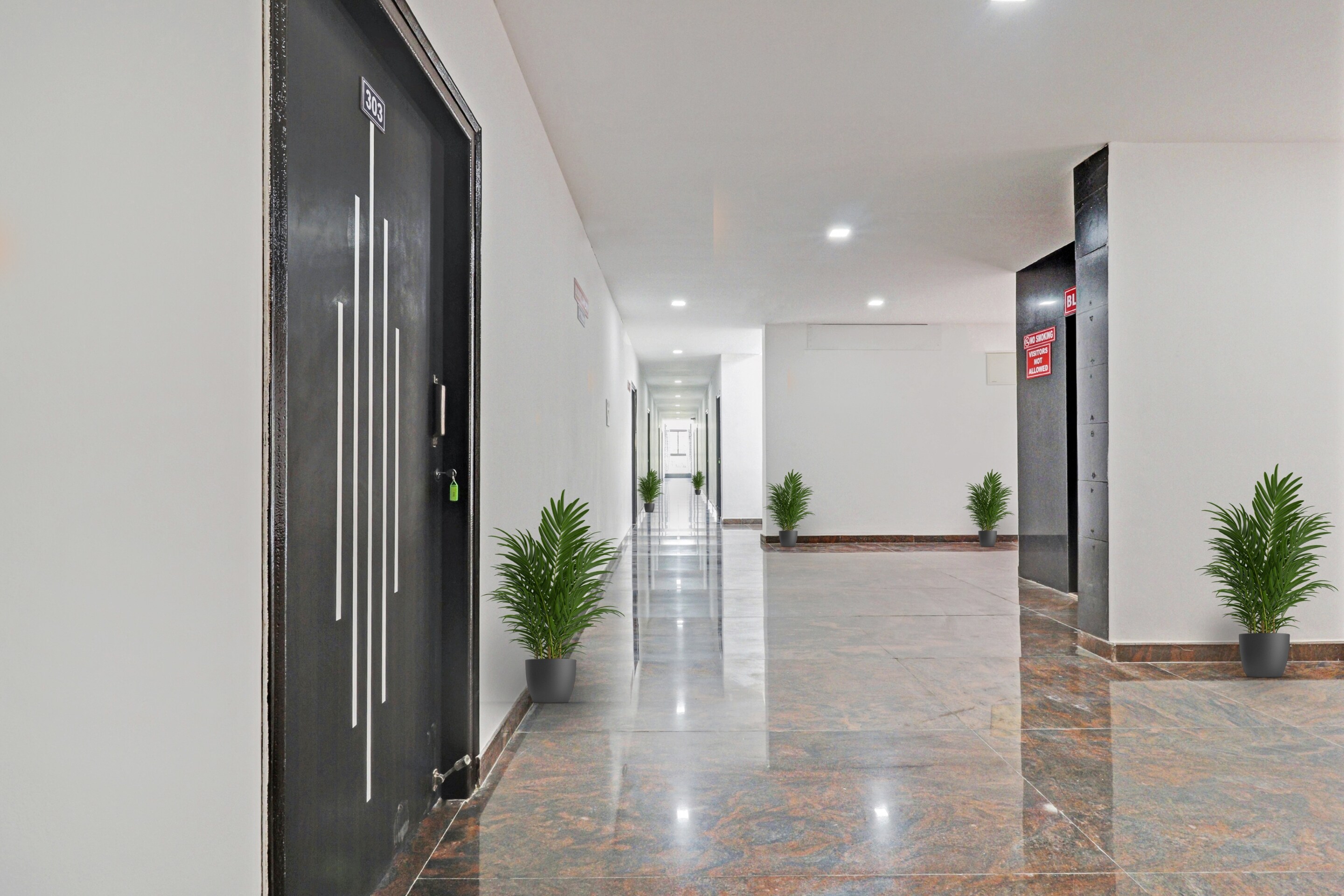 Capital O 88025 BLOOMS STAY INN, Bangalore 3