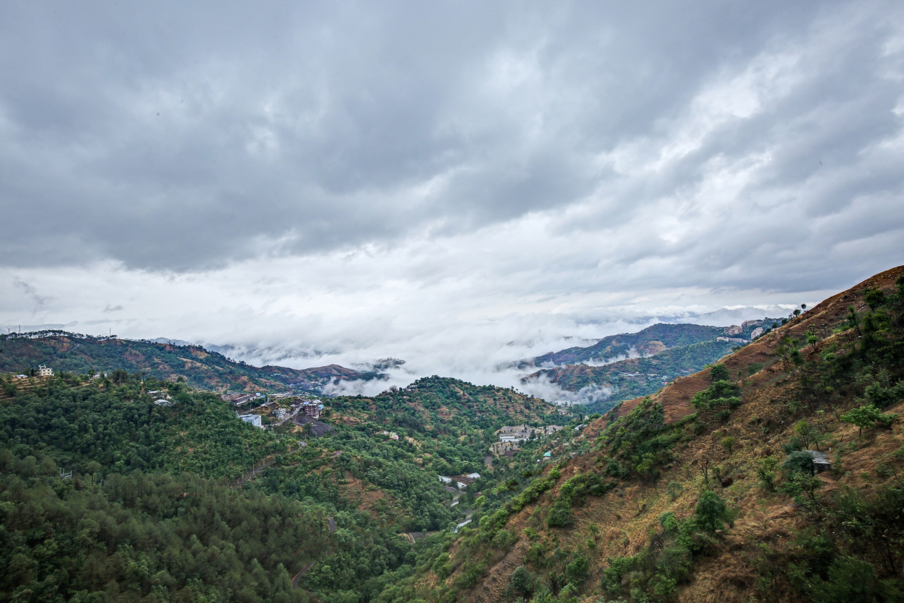 OYO 89482 Tableau Homestay, Shimla 2