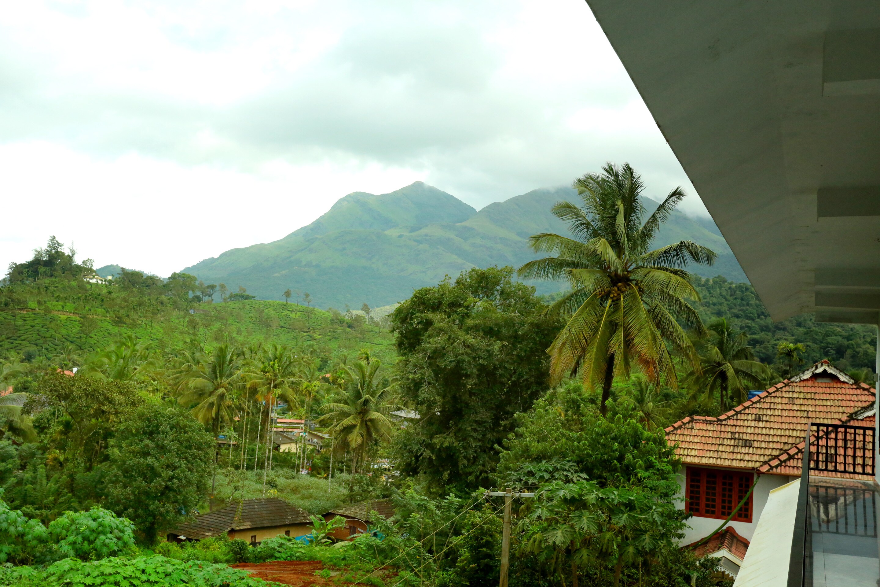 OYO 77920 Heavenly Wayanad, Wayanad 5