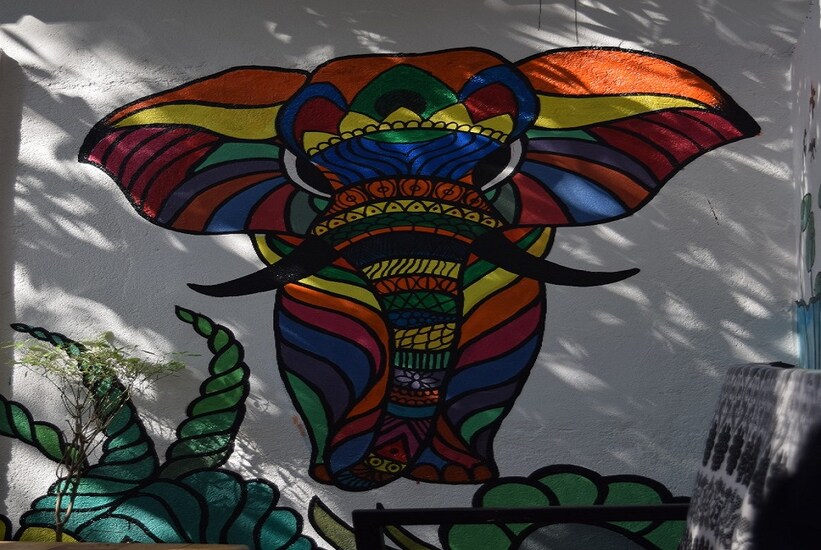 Ila in Candolim, Goa 3