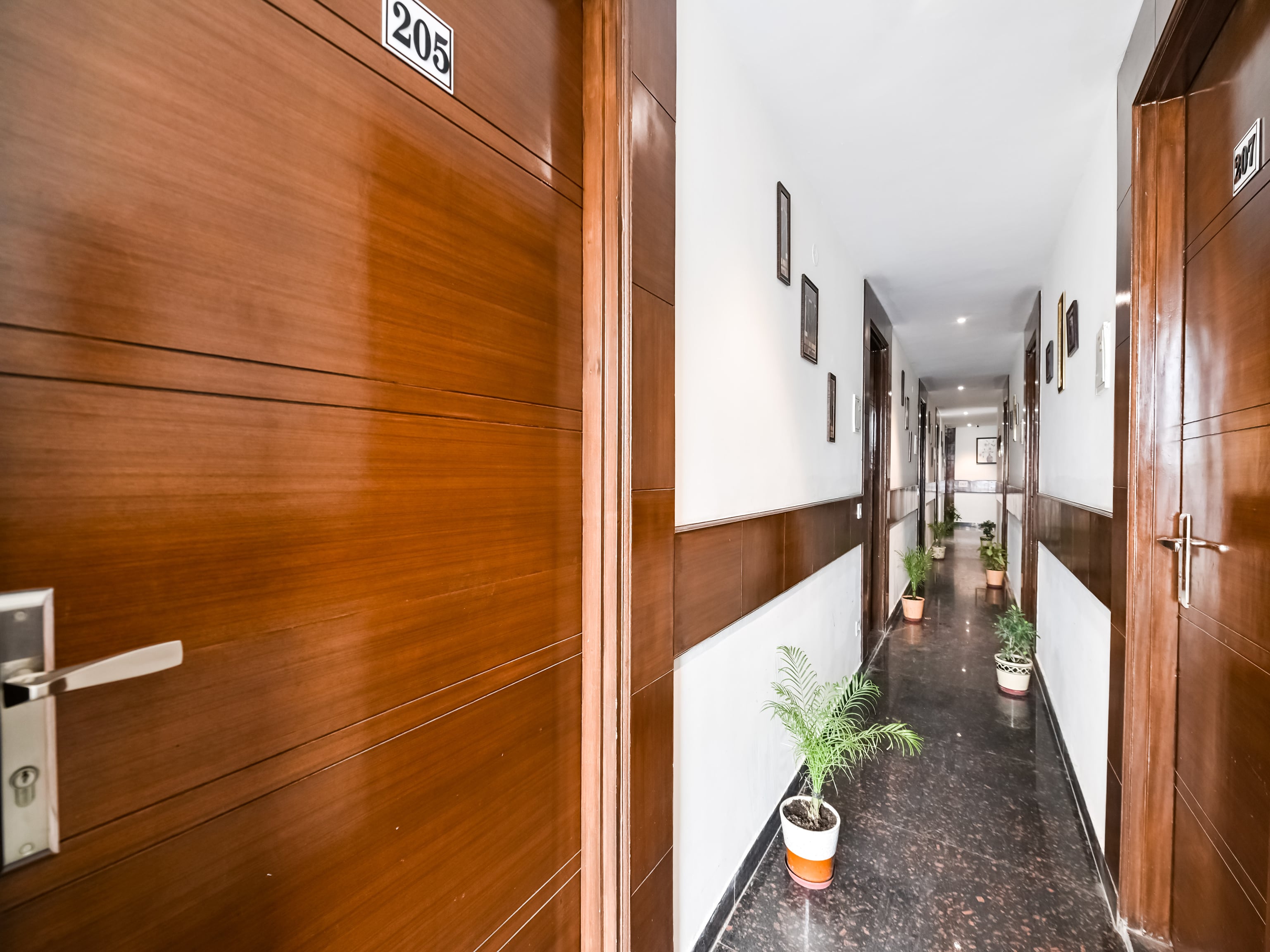 OYO 72294 White Rose Wallon Hotel, New Delhi 2