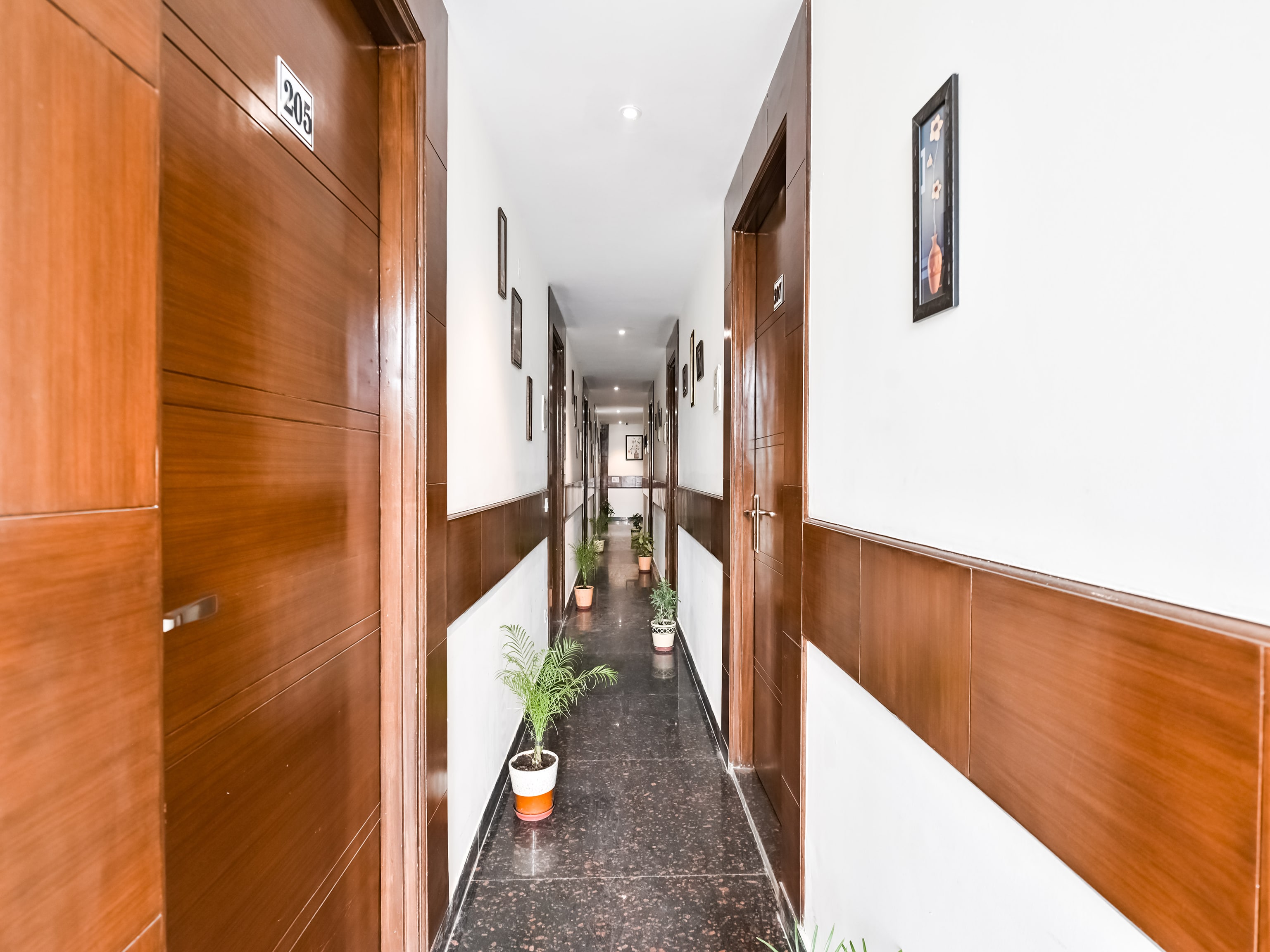 OYO 72294 White Rose Wallon Hotel, New Delhi 4