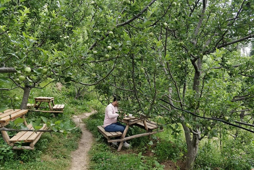 Daak Bangla Retreat, Shimla 4