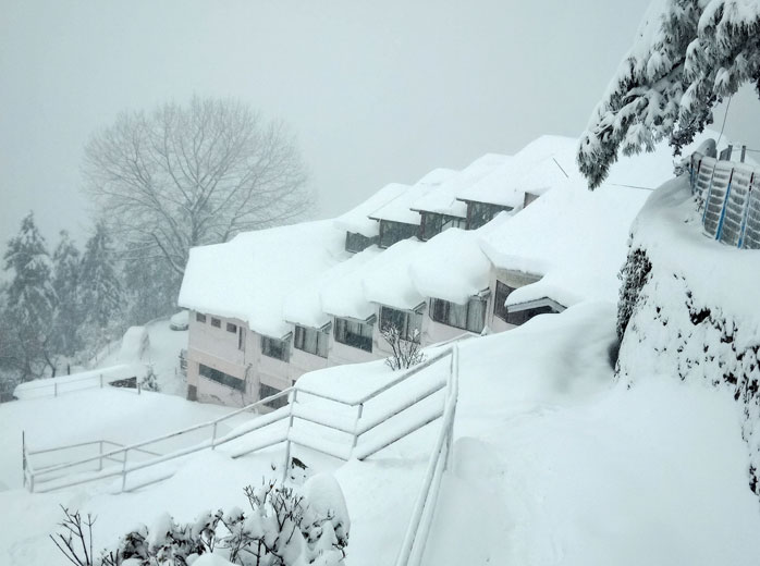 Kufri Holiday Resort