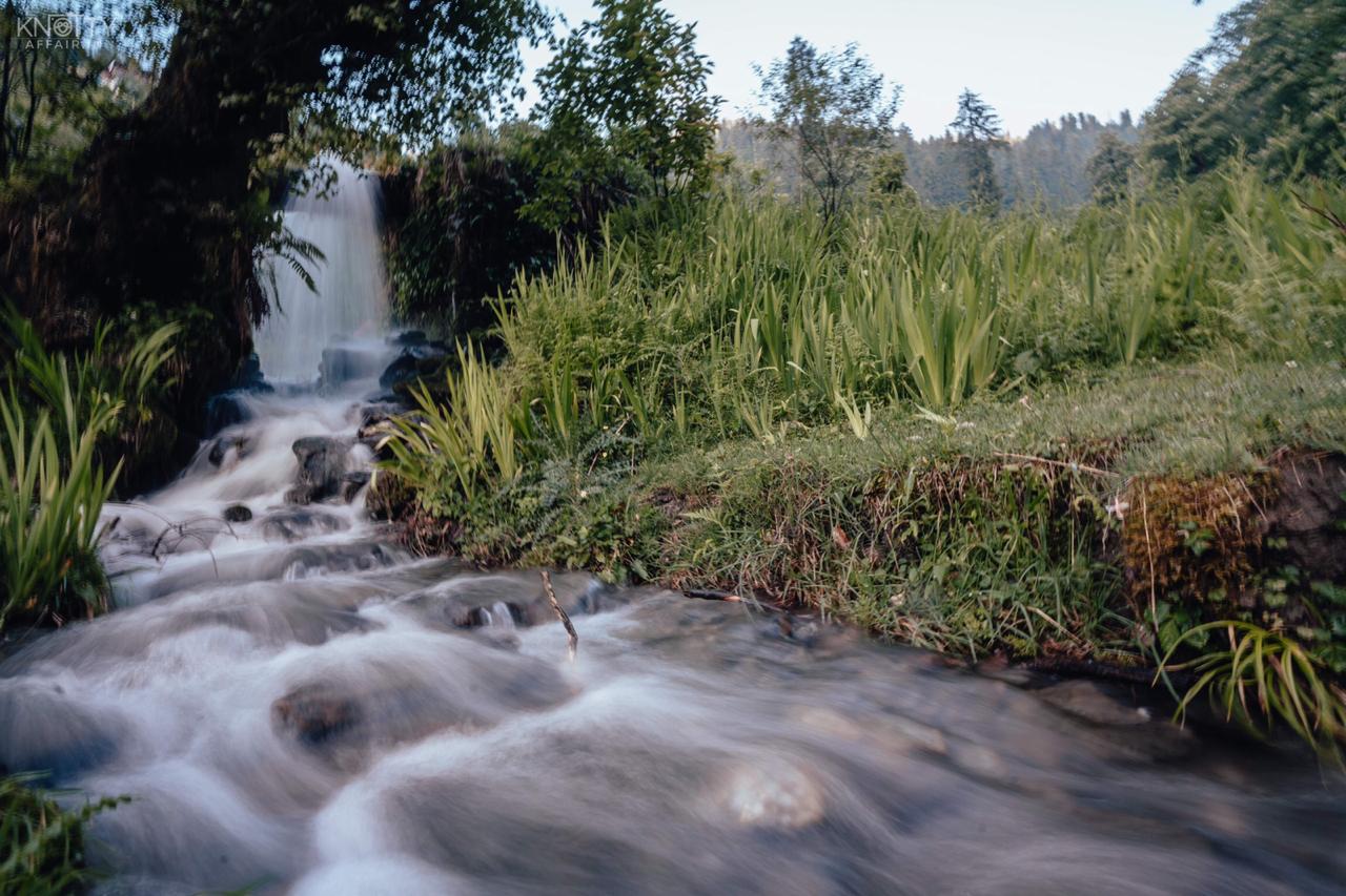 No Society Luxury Stays Jibhi, Kullu 4