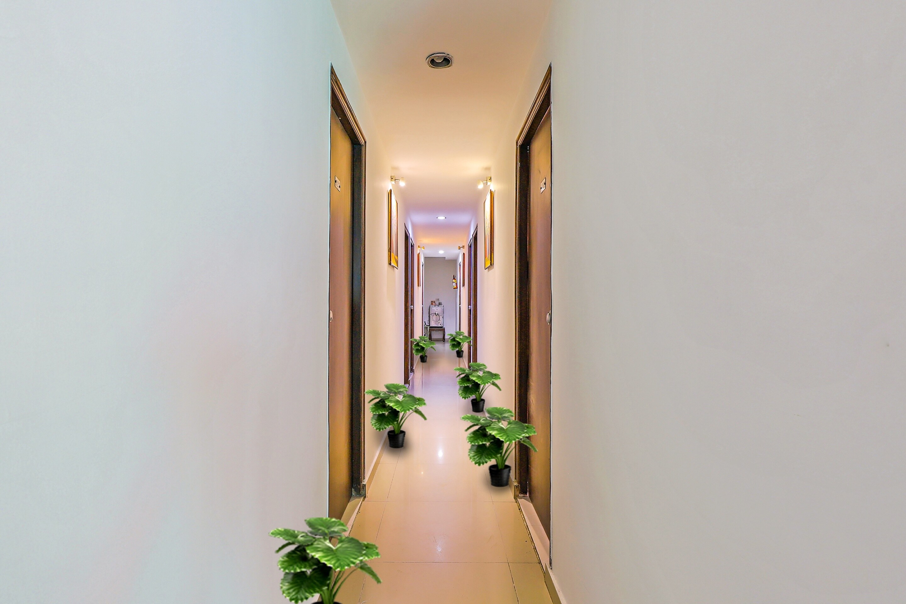 Collection O 87966 Hotel Alic, Ahmedabad 2