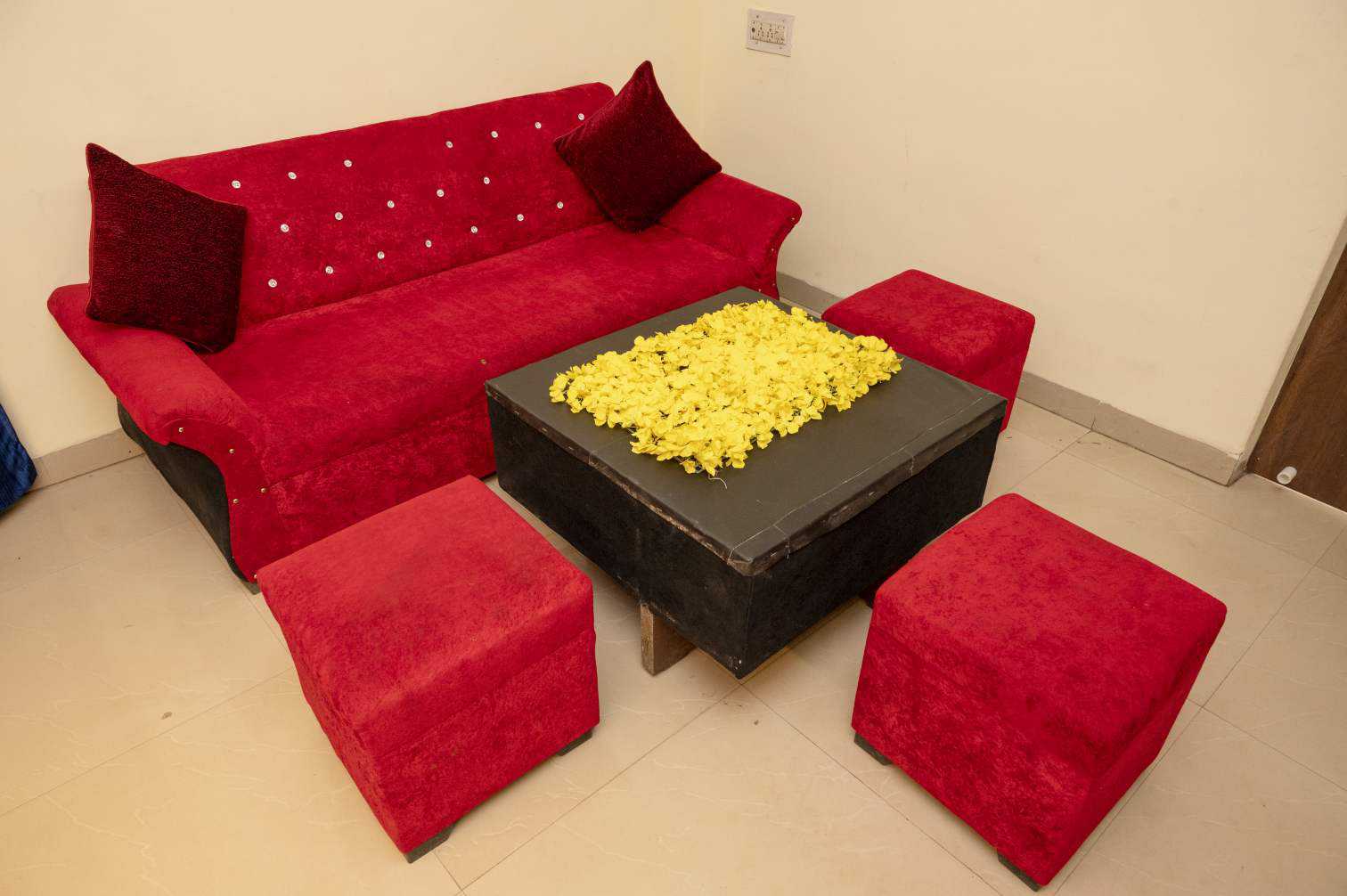 POP 89885 Hotel Blue Star, Bhilai 3