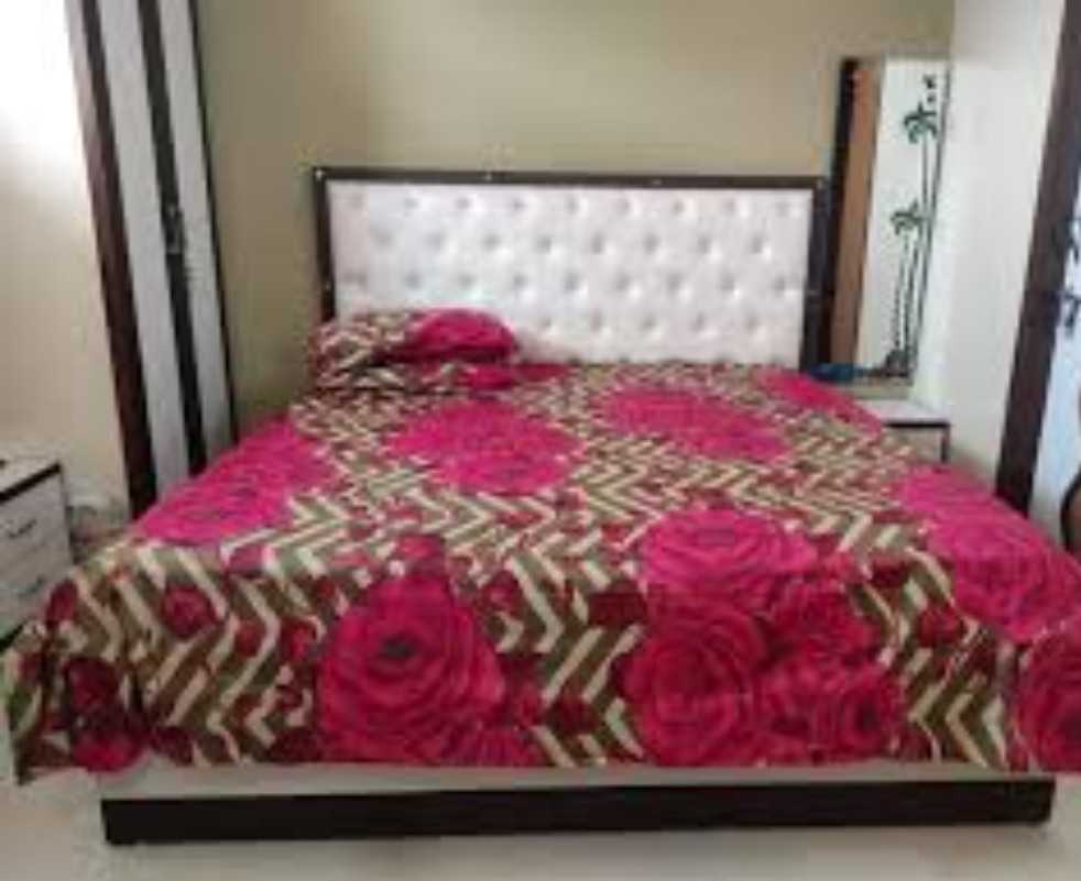 OYO HOME 91798 Safe In, Rohtak 3