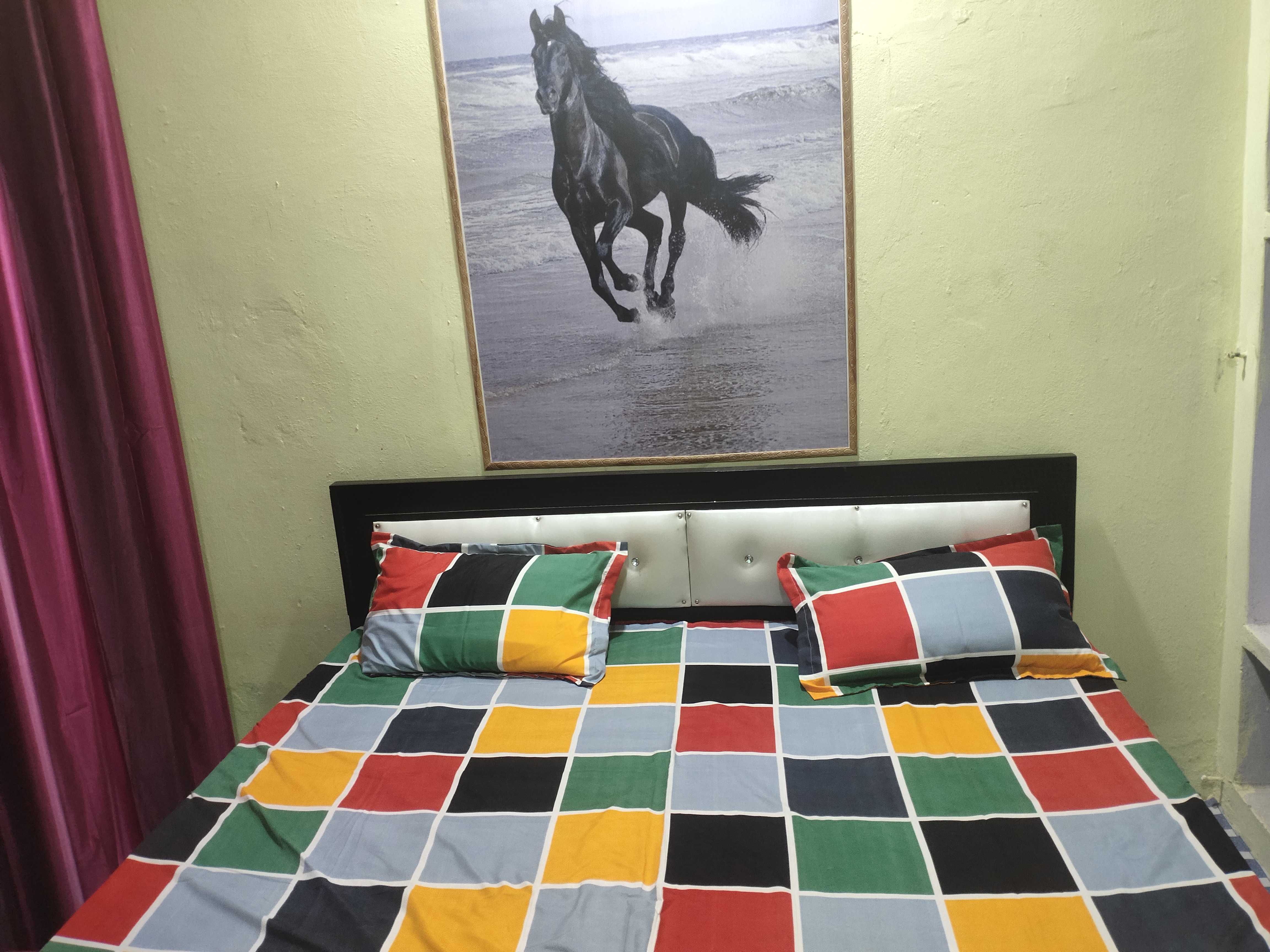 OYO HOME 91798 Safe In, Rohtak 5
