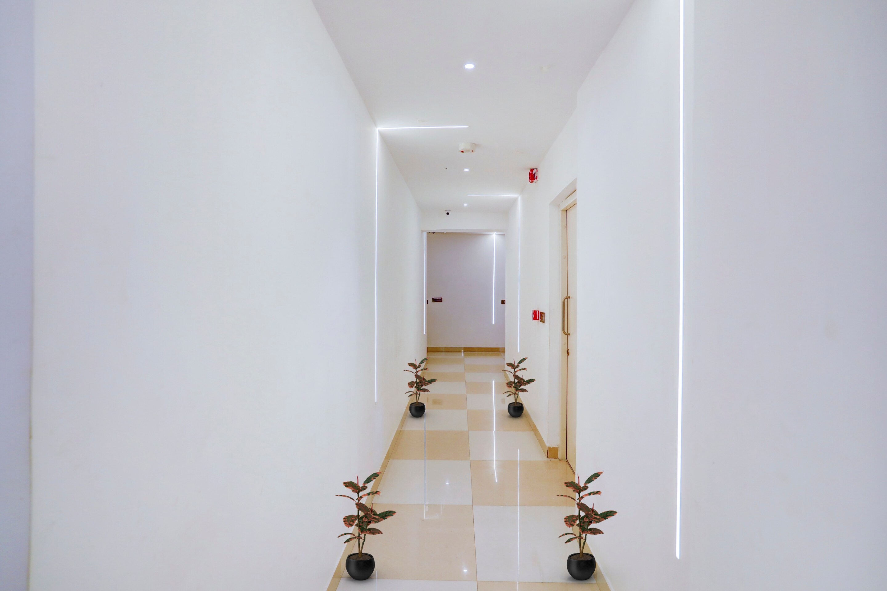 Townhouse 1089 Hotel 19 West, New Delhi 3