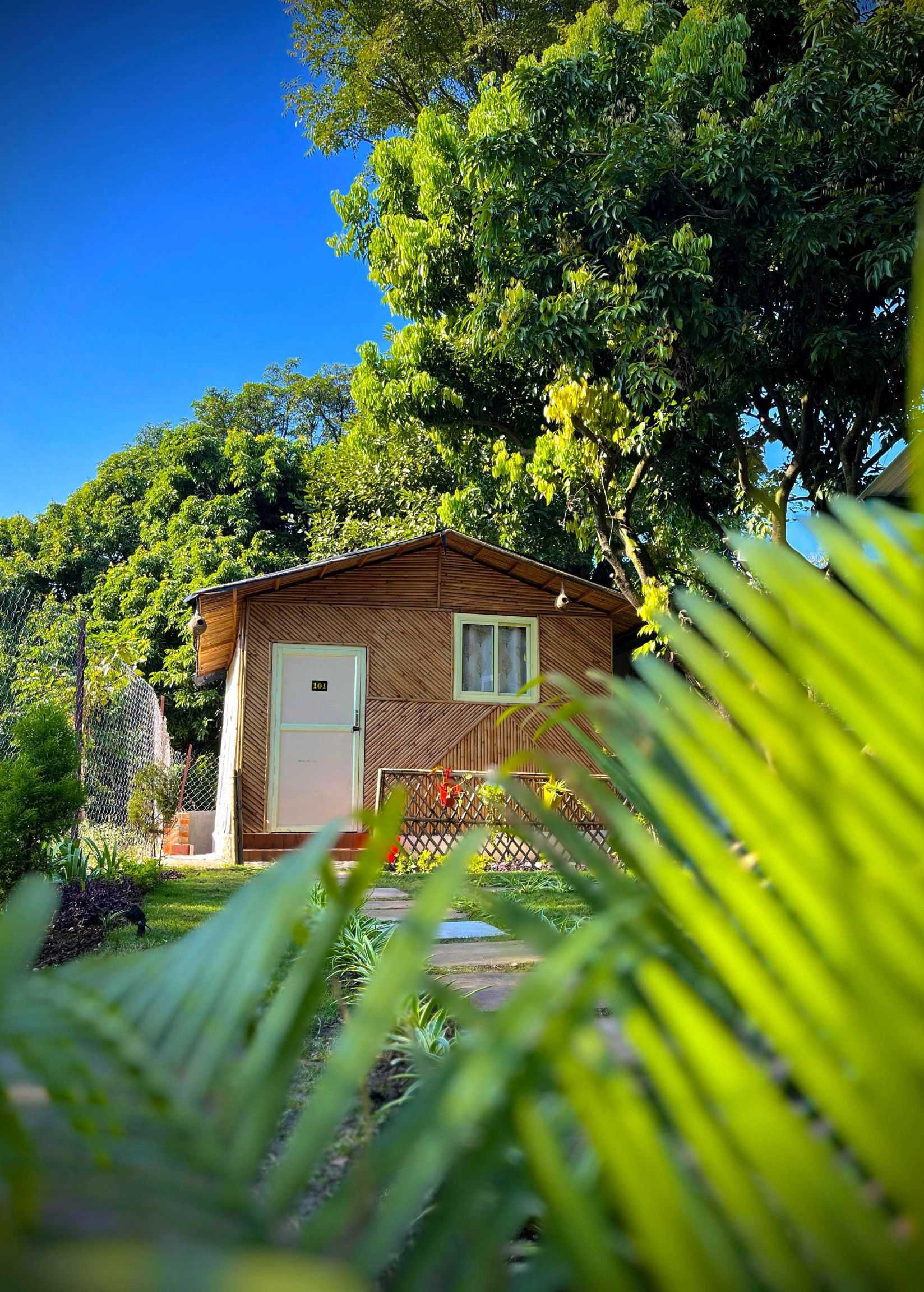 POP 90506 Royal Tree Cafe And Resort, Dehradun 2