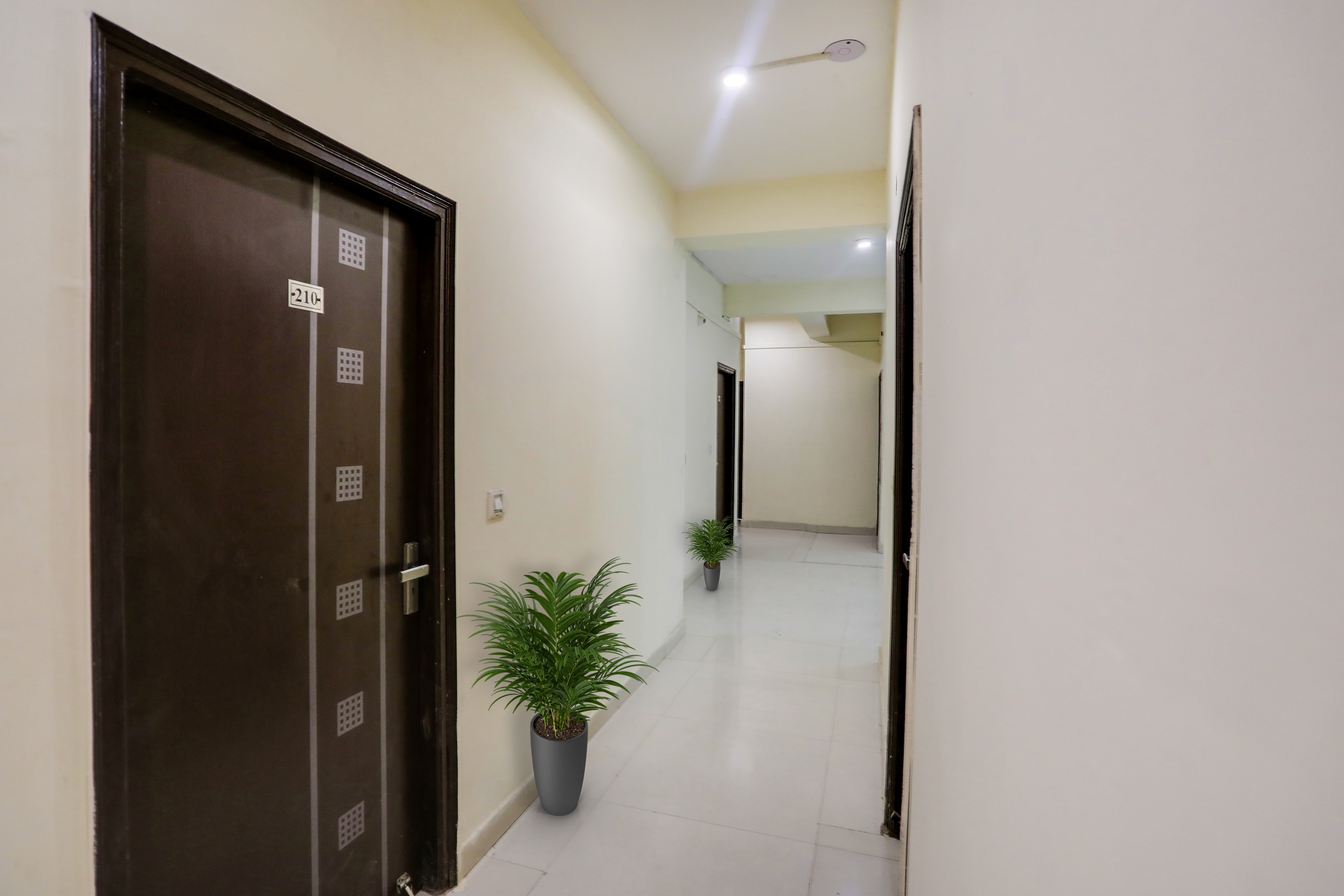 OYO 91580 The Chill Palace, New Delhi 3