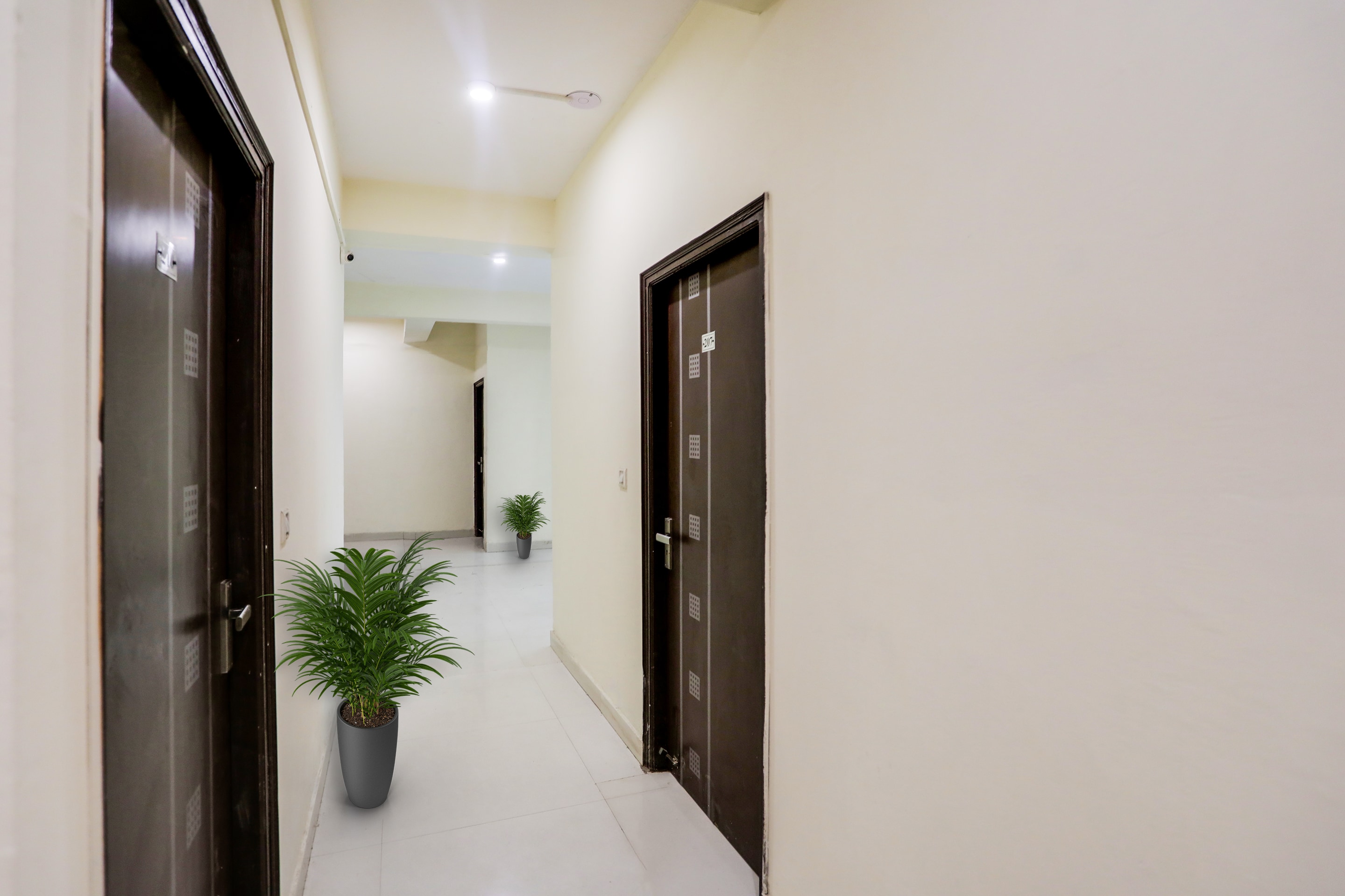 OYO 91580 The Chill Palace, New Delhi 4