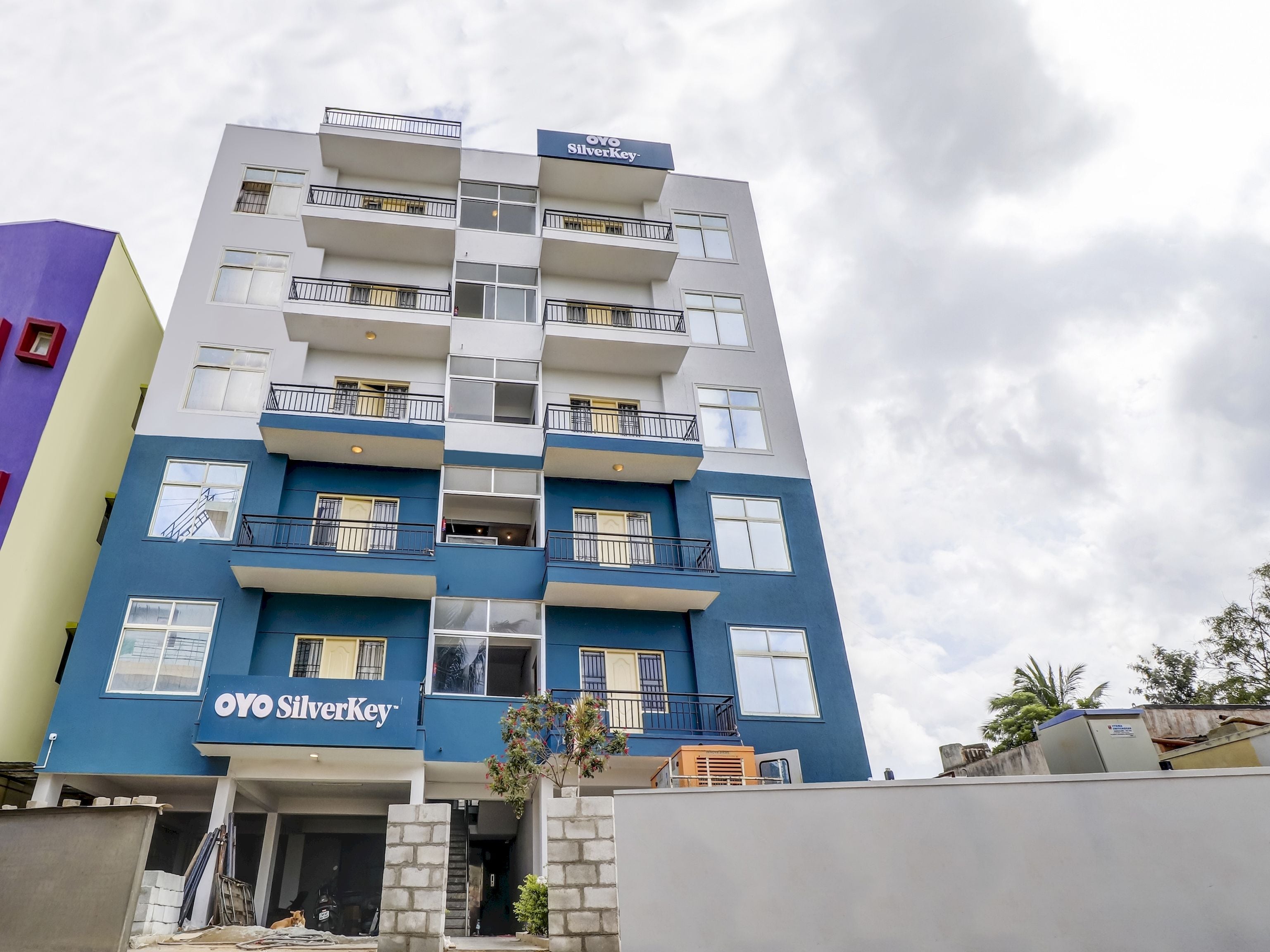 Collecetion O 76111 Executive Stays Basapura, Bangalore 4