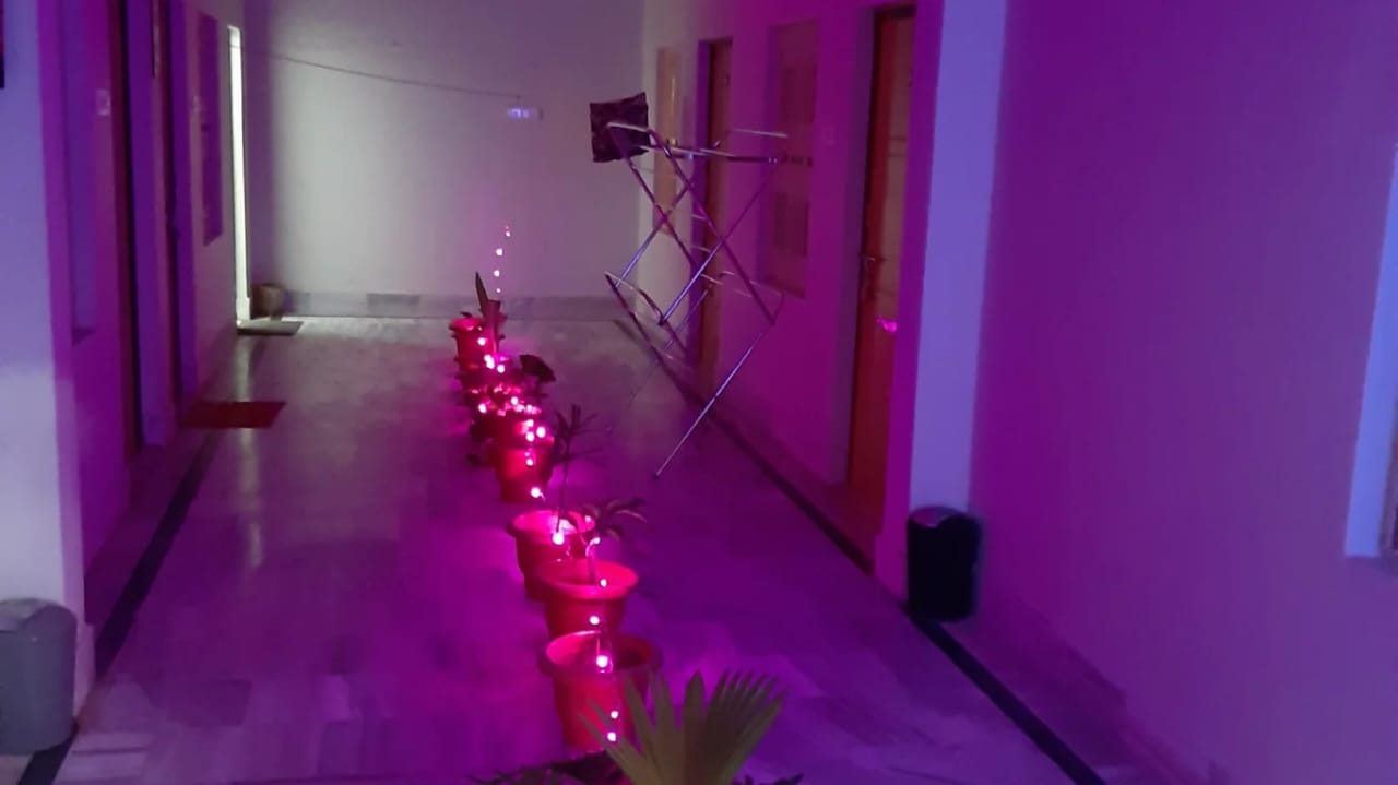 Kashi Stay Guest House