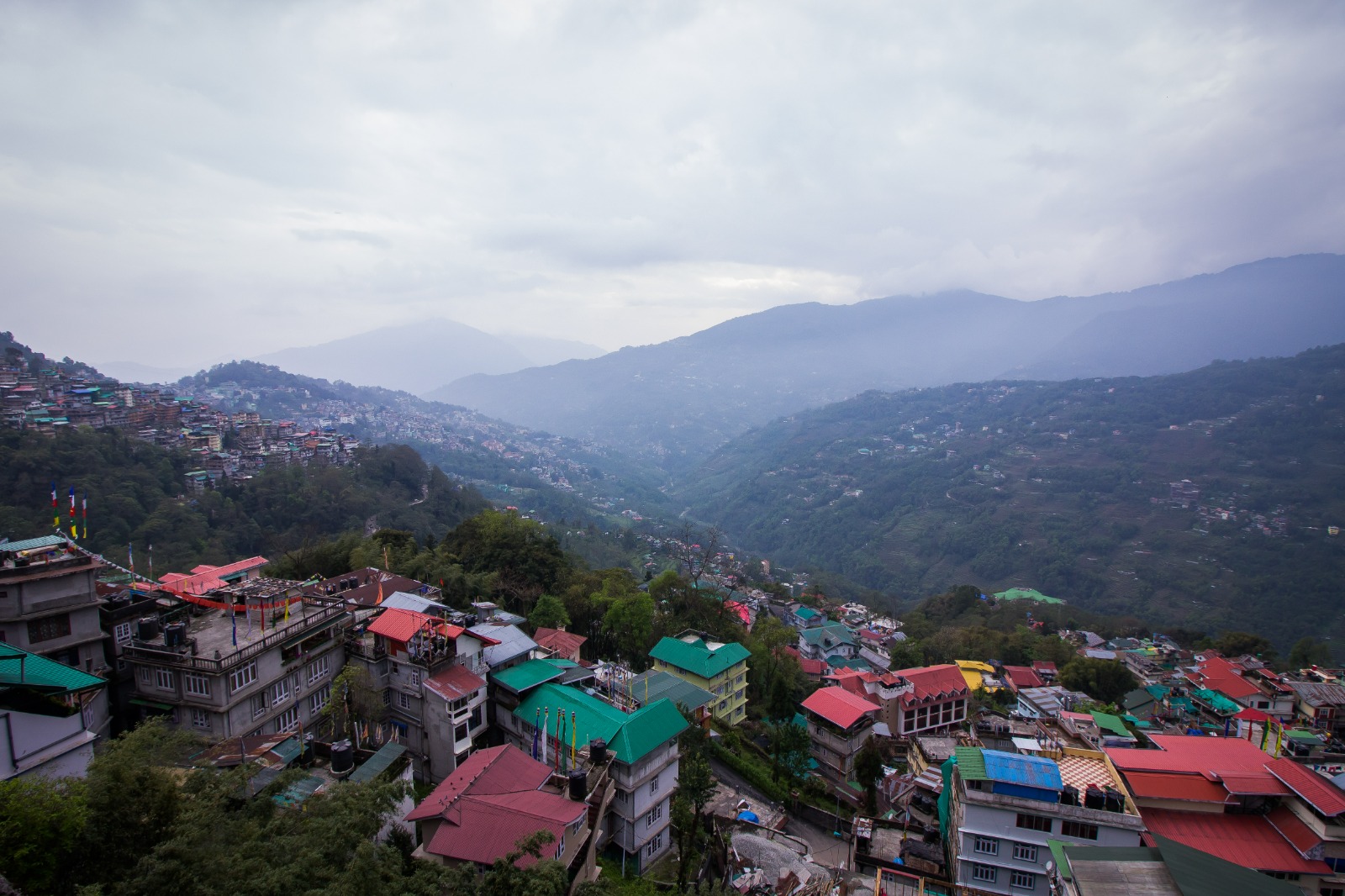 Jain group Crown de la Cruz