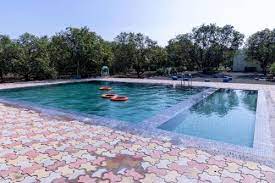 Brightview Cottages, Sasan Gir 5