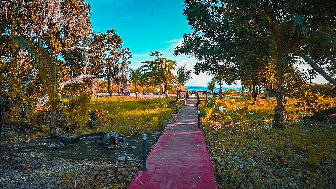 Aquays Hotels and Resorts- Neil Island