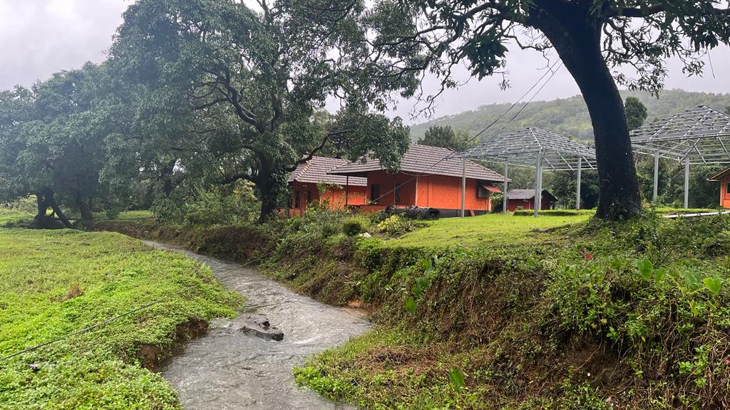 Backpacker's Nature Lodge in Theralu, Coorg 4