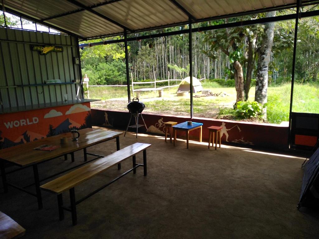 Shades of green - Camping near Dubare