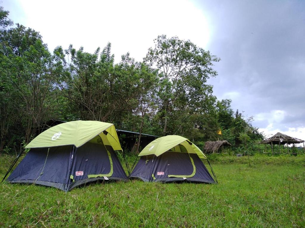 Shades of green - Camping near Dubare