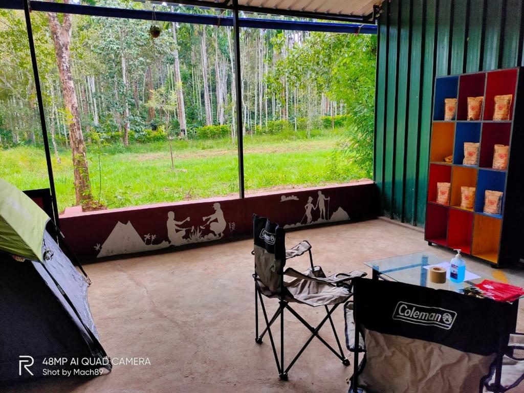 Shades of green - Camping near Dubare, Coorg 4