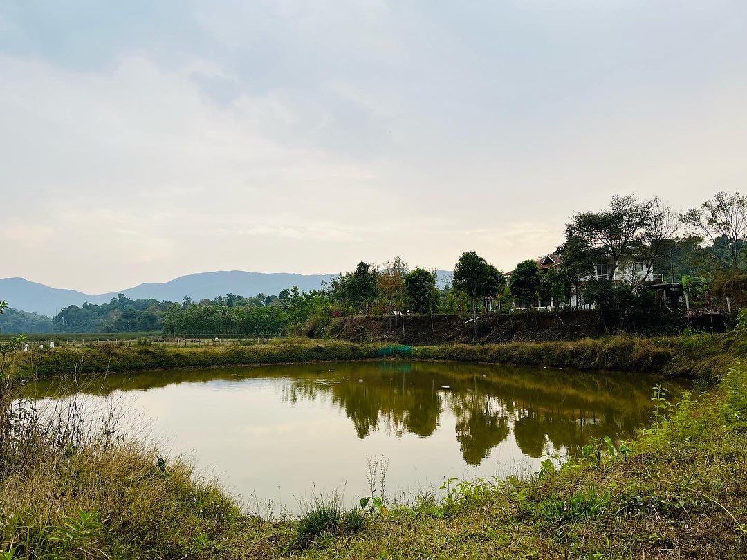 Mountain side retreat Near Tadiyandamol Hills, Coorg 2