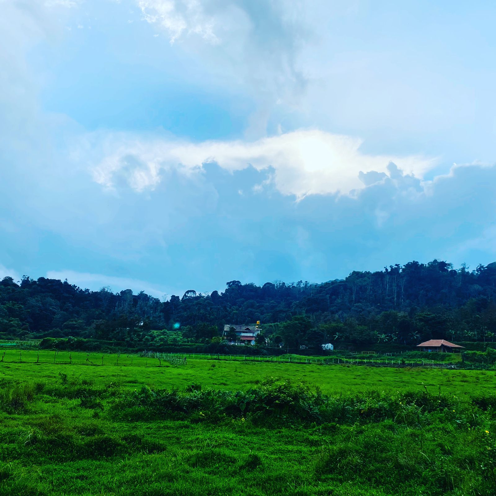 Mountain side retreat Near Tadiyandamol Hills, Coorg 4