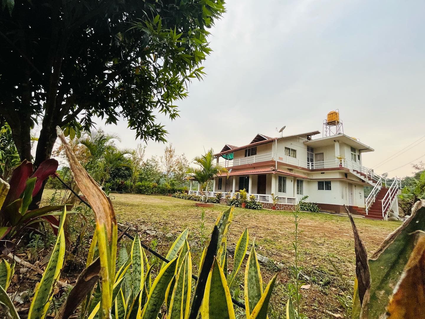 Mountain side retreat Near Tadiyandamol Hills, Coorg 5