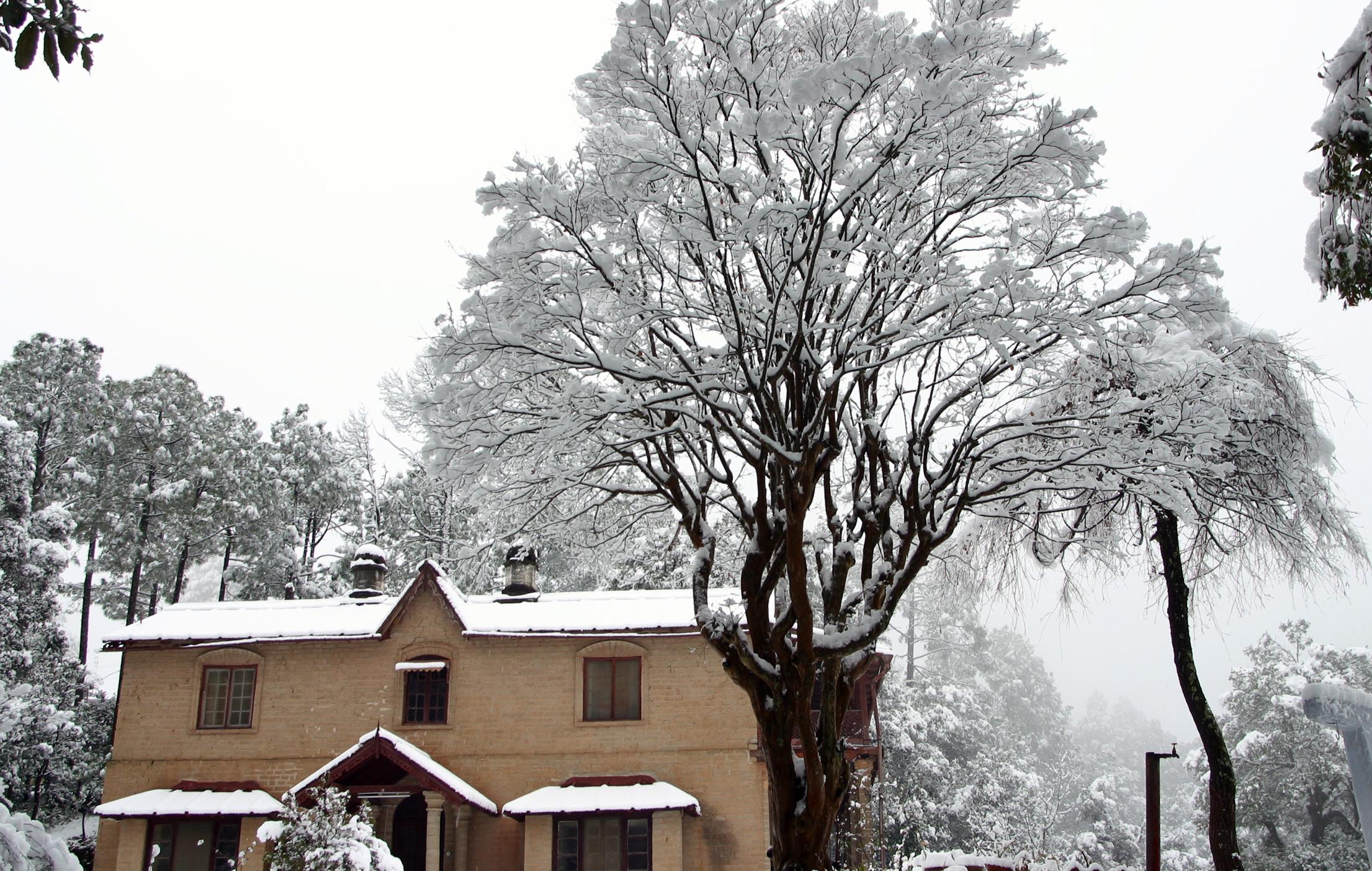KMVN Tourist Rest House Ranikhet Mall Road, Ranikhet 4
