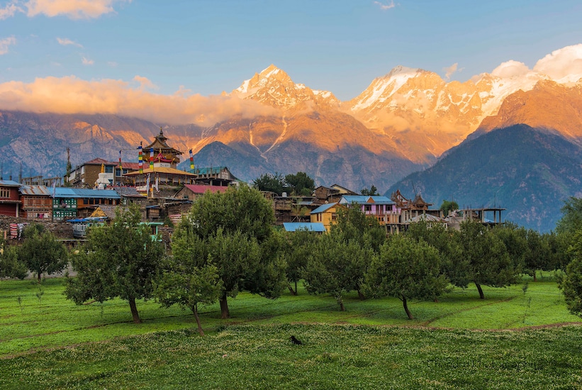 Hotel Kalpa Deshang, Kalpa 5
