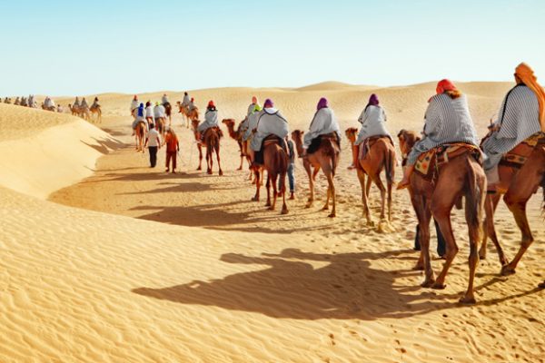 Jaisalmer Travel & Camping, Jaisalmer 2