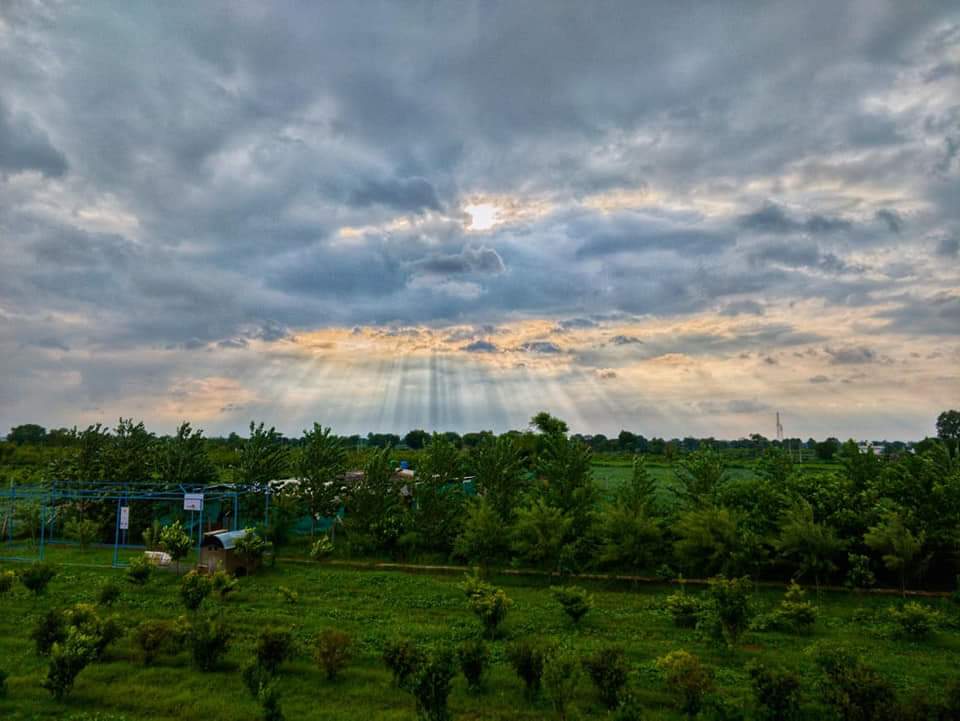 Anantvan by ShriGo Hotels, Ranthambore 4