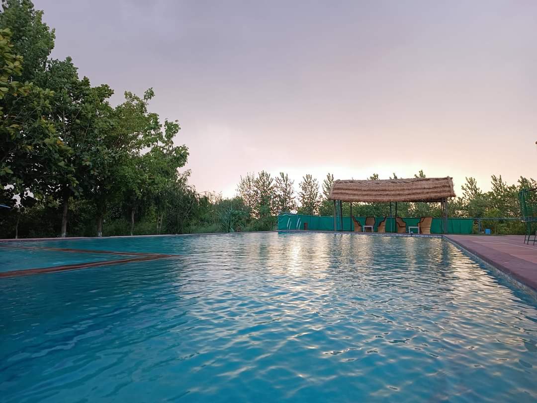 Anantvan by ShriGo Hotels, Ranthambore 5