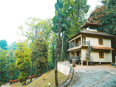 Vythiri Wild Forest Resort, Wayanad 2