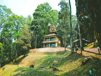 Vythiri Wild Forest Resort, Wayanad 3