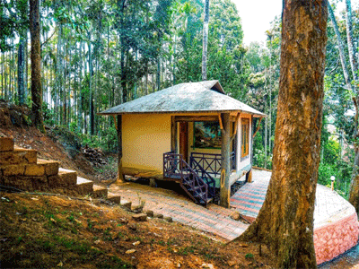 Vythiri Wild Forest Resort, Wayanad 5
