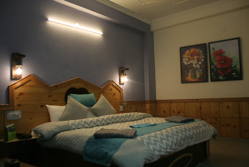 The Nandini Palace, Manali 2