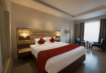 Aarya Mansion Hotel, Hassan 3