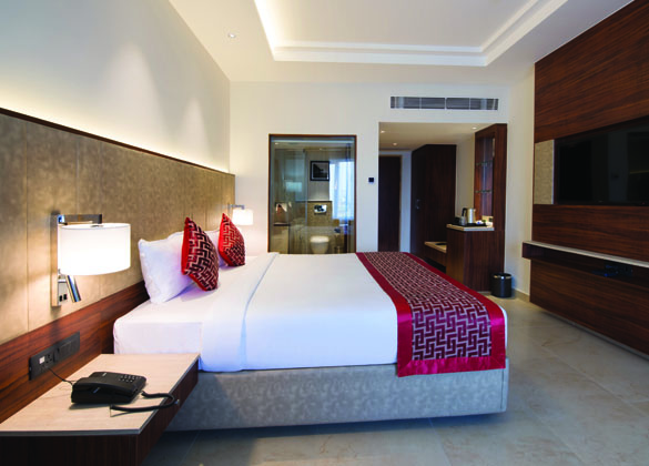 Aarya Mansion Hotel, Hassan 5