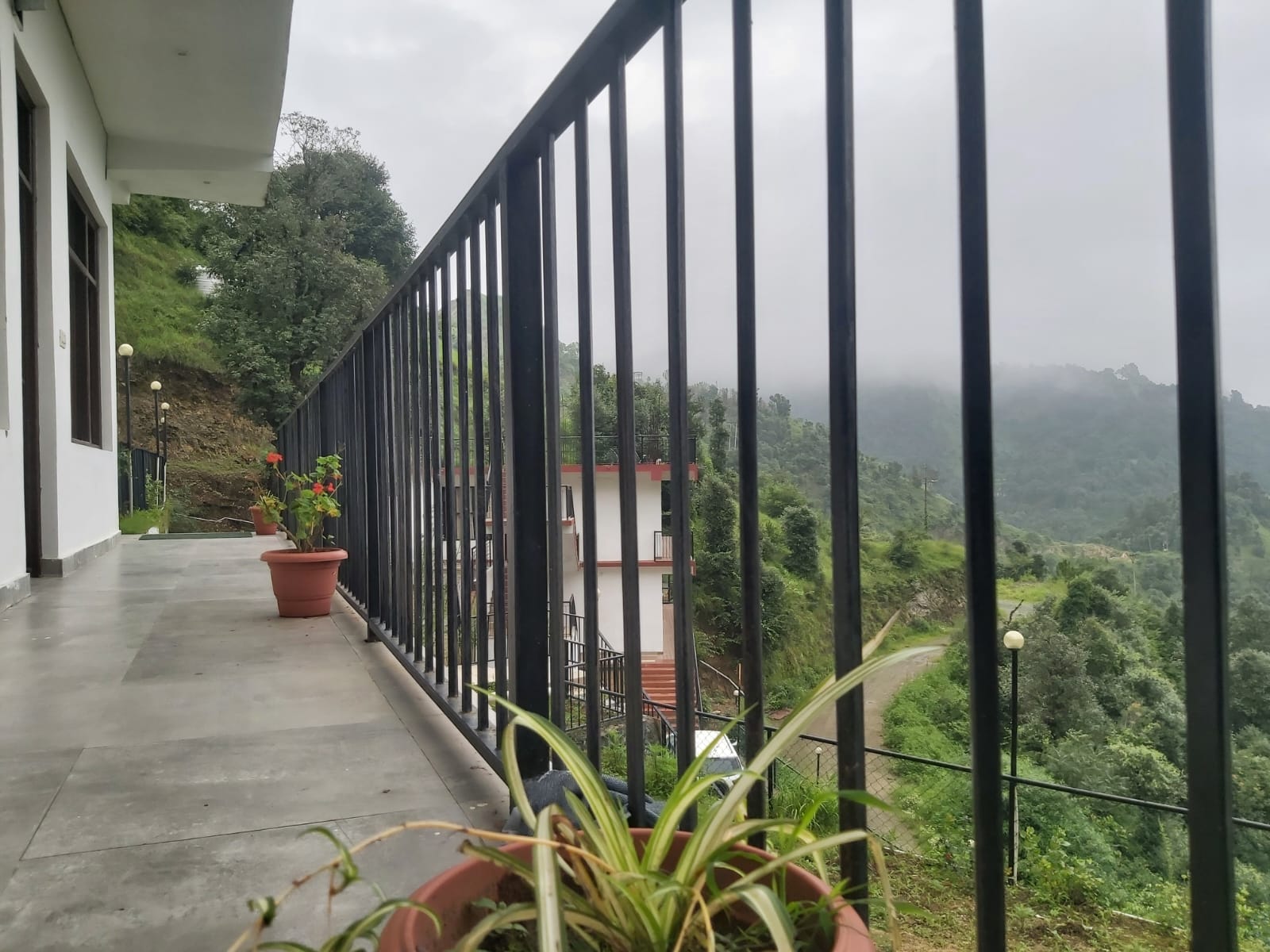 Vibrance Bridge Valley Resort, Shimla 4