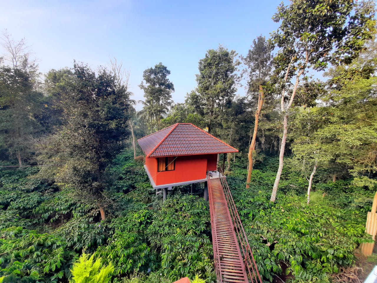 VMJ Wild Stay, Wayanad 2