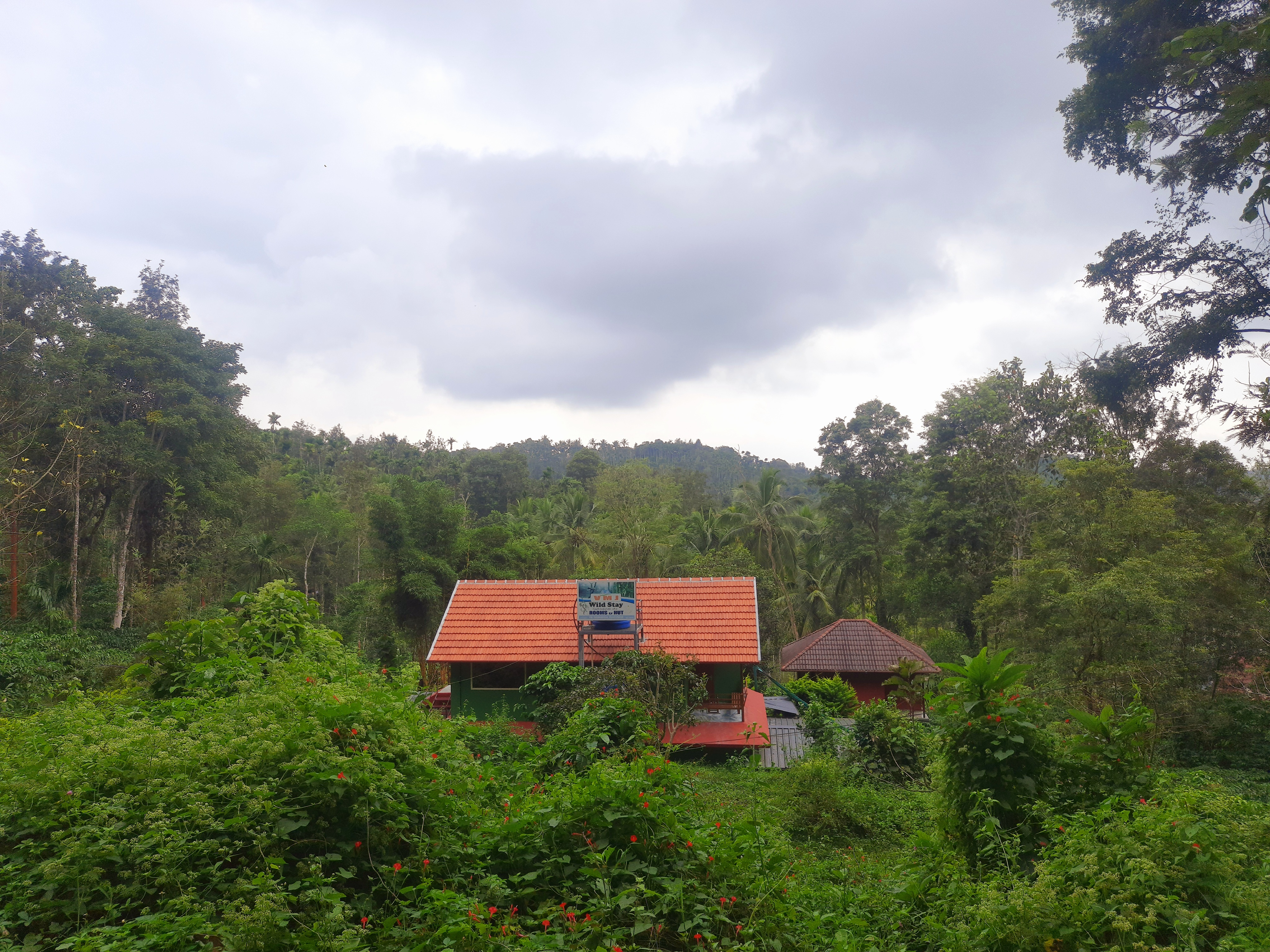 VMJ Wild Stay, Wayanad 3