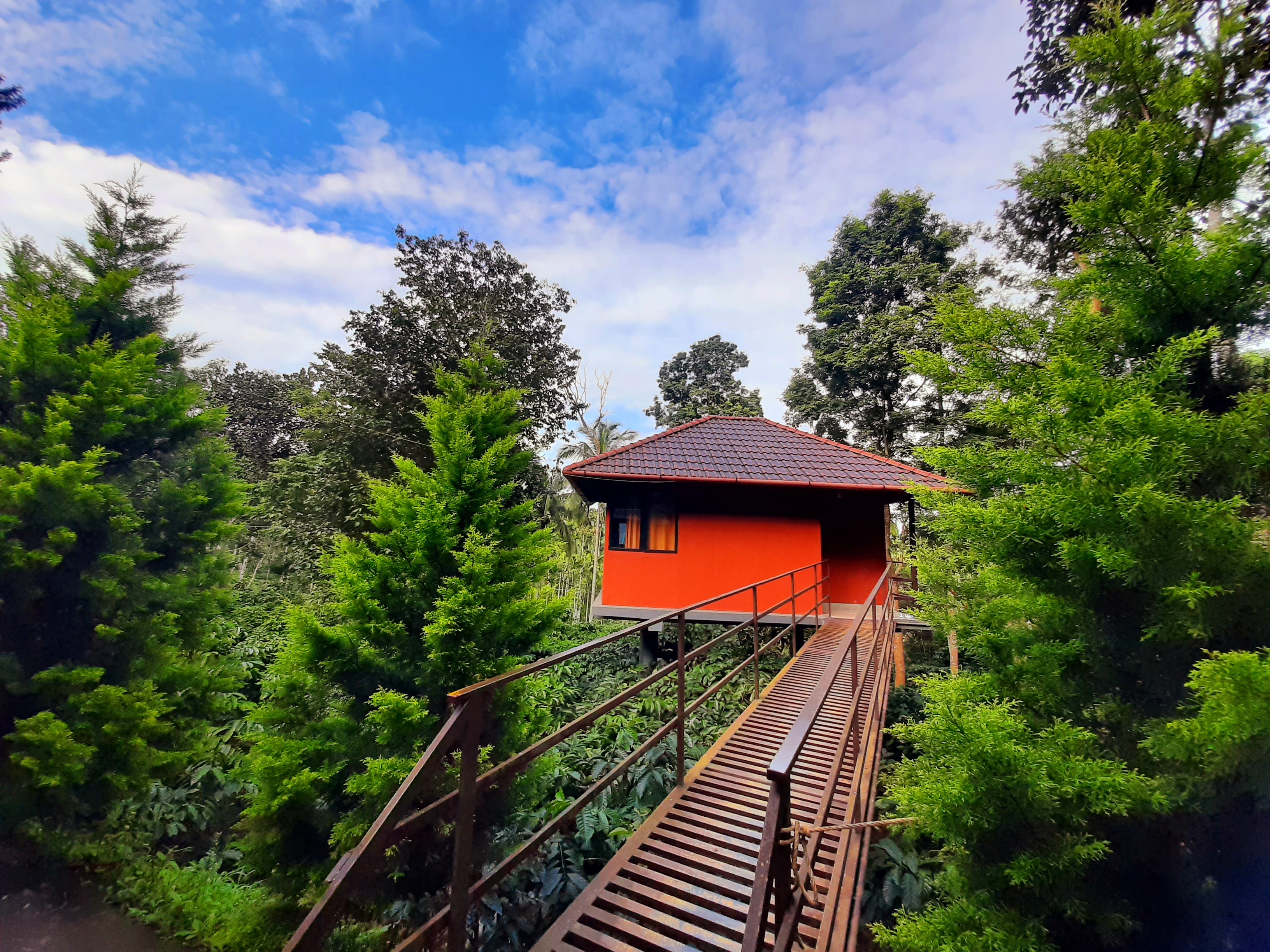 VMJ Wild Stay, Wayanad 5